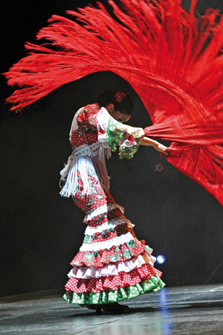 Das Flamenco Festival in Würzburg bietet eine besondere Portion Leidenschaft und steht für Weltoffenheit und Vielfalt in der Region